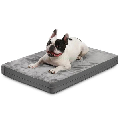All-Season Comfort Canine Bed