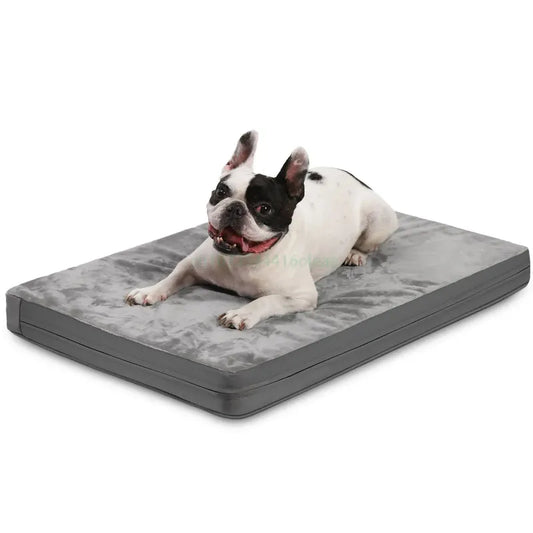 All-Season Comfort Canine Bed