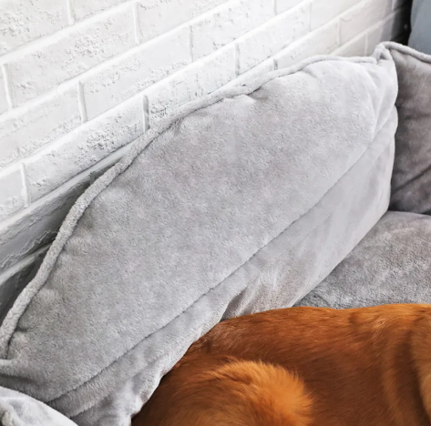 Canine Couch