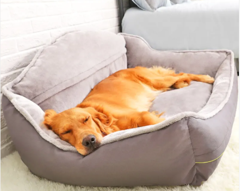 Canine Couch