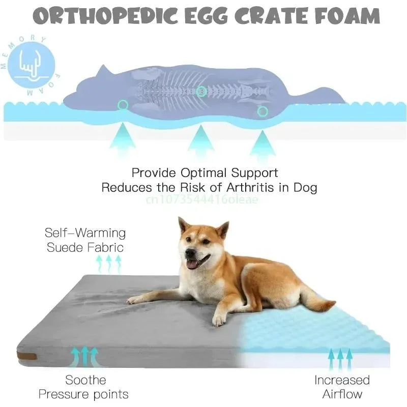 All-Season Comfort Canine Bed