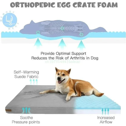All-Season Comfort Canine Bed