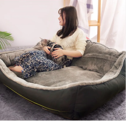 Canine Couch
