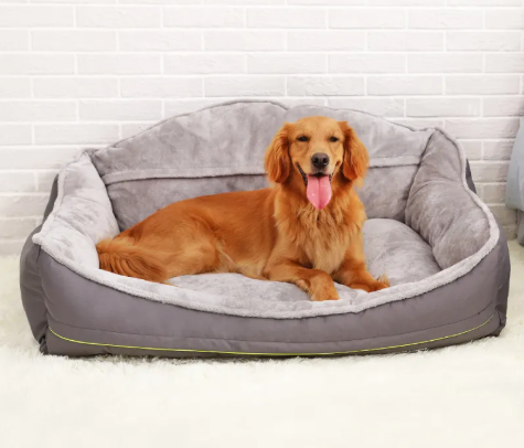 Canine Couch